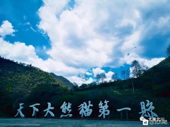 救援顽皮的小女孩